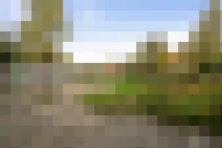 van Liedekerkestraat 16 Standdaarbuiten thumbnail 32
