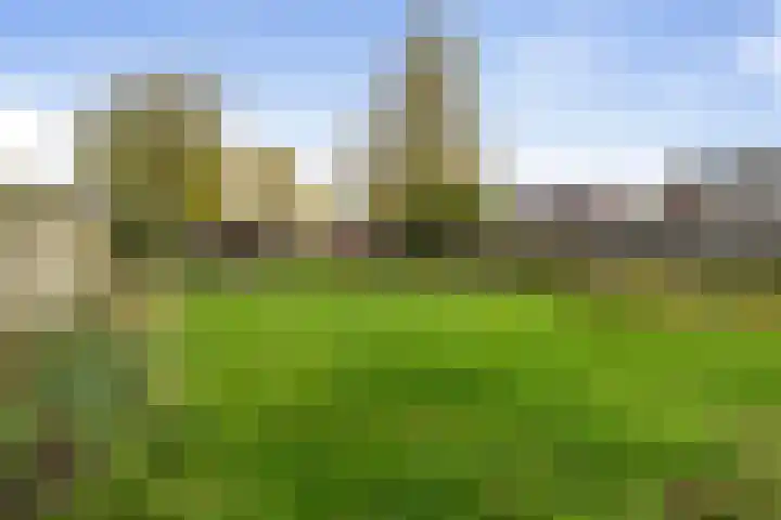 van Liedekerkestraat 16 Standdaarbuiten thumbnail 34