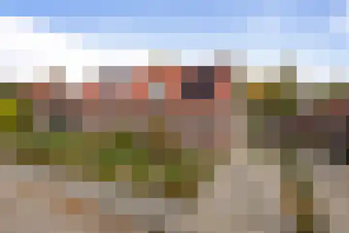 van Liedekerkestraat 16 Standdaarbuiten thumbnail 39
