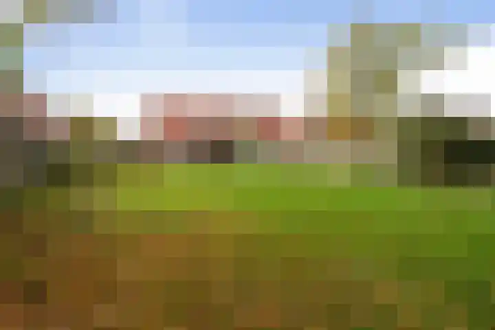 van Liedekerkestraat 16 Standdaarbuiten thumbnail 7