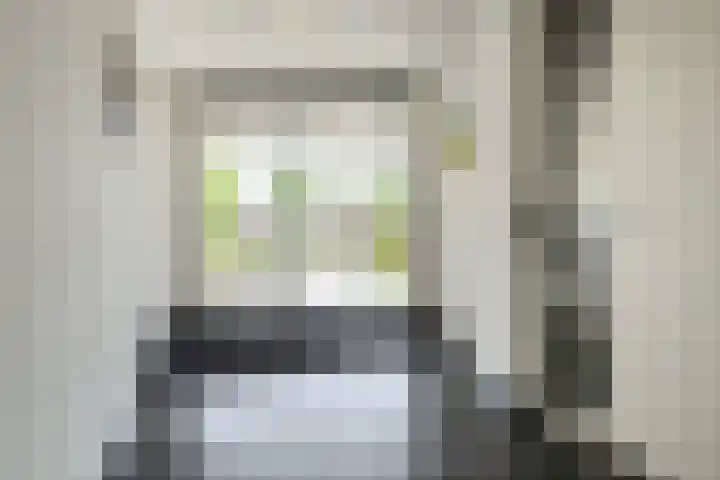 Van Liedekerkestraat 46 Oosterhout thumbnail 7