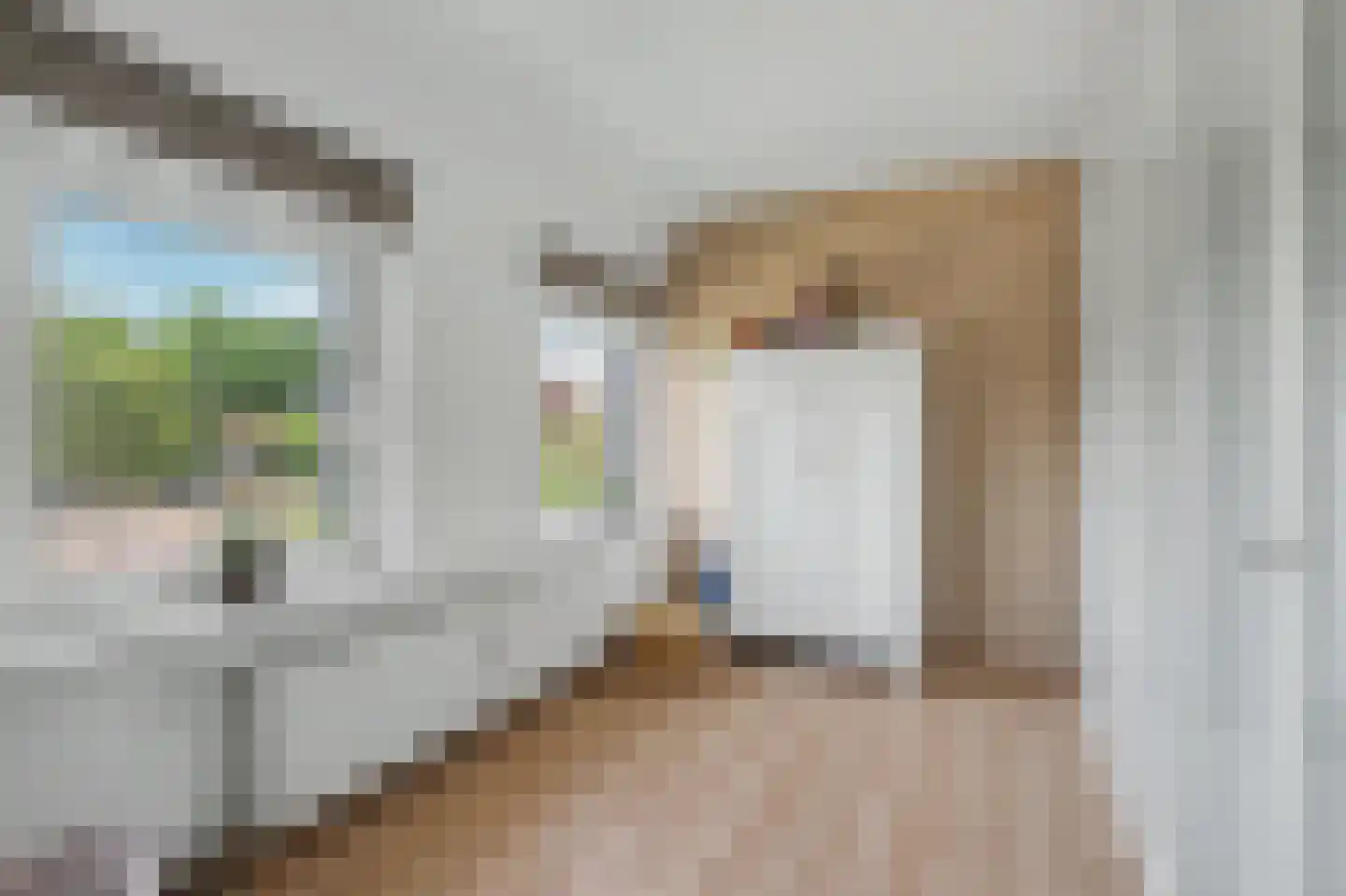 Van Liedekerkestraat 65 Oosterhout thumbnail 20