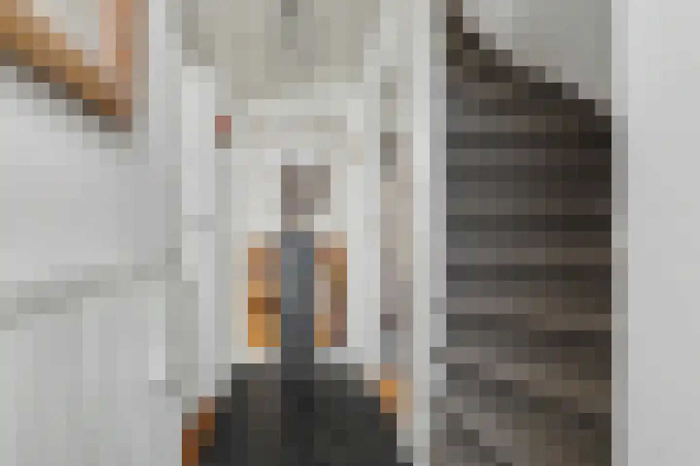 Van Liedekerkestraat 65 Oosterhout thumbnail 8