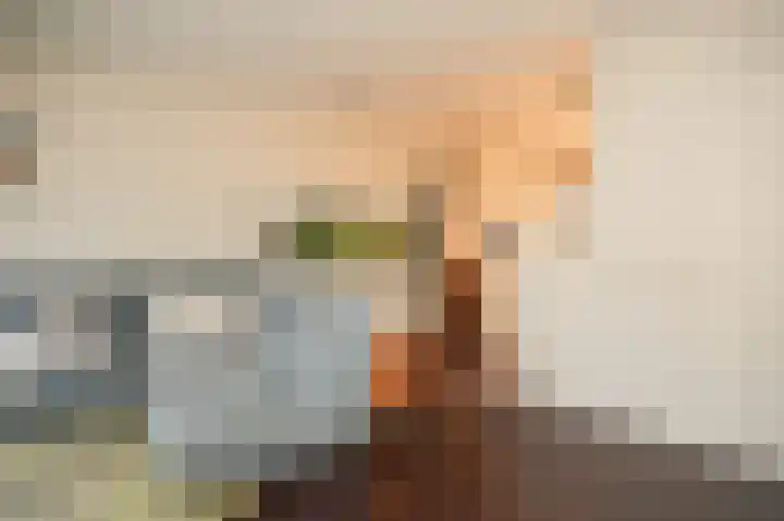 Van Lieflandlaan 71 Utrecht thumbnail 11
