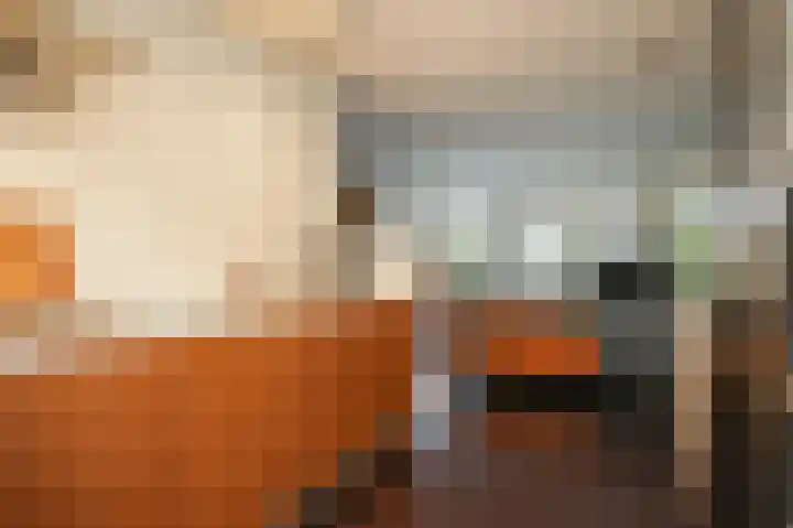 Van Lieflandlaan 71 Utrecht thumbnail 14