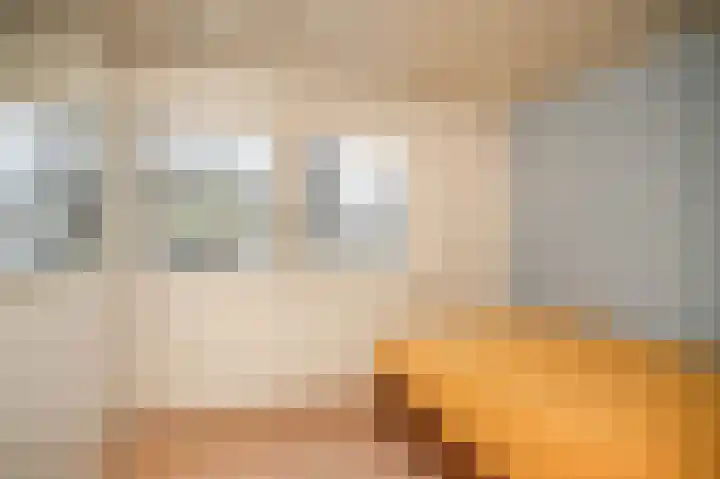 Van Lieflandlaan 71 Utrecht thumbnail 22