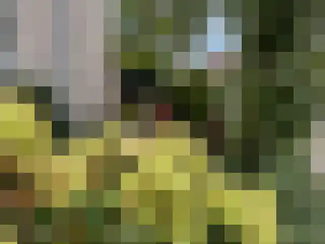Van Lieflandlaan 71 Utrecht thumbnail 28