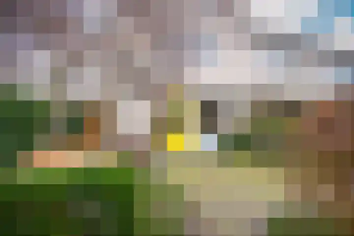 Van Lieflandlaan 71 Utrecht thumbnail 29