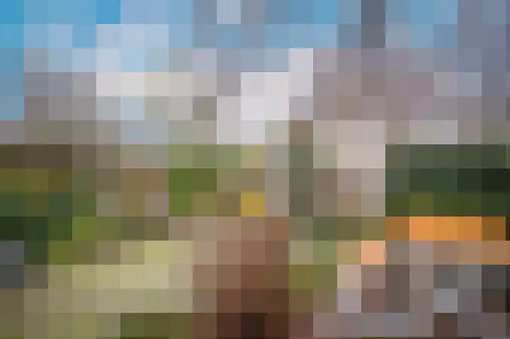 Van Lieflandlaan 71 Utrecht thumbnail 30