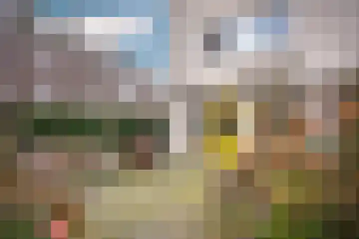 Van Lieflandlaan 71 Utrecht thumbnail 31