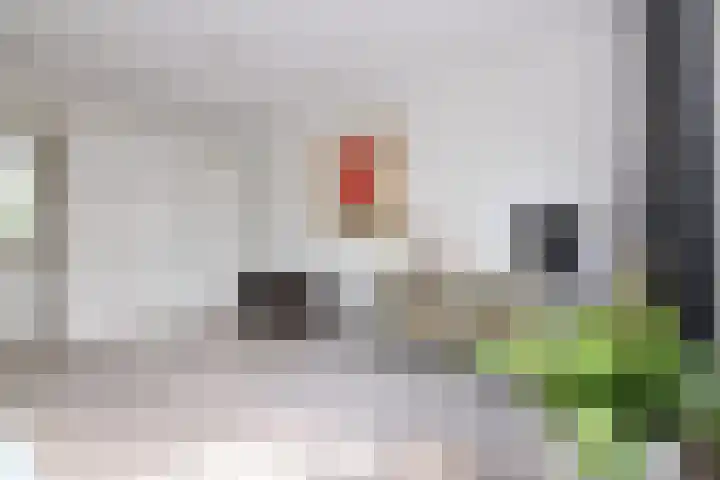 Van Lieflandlaan 85 Utrecht thumbnail 13