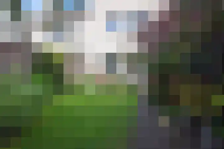 Van Lieflandlaan 85 Utrecht thumbnail 24