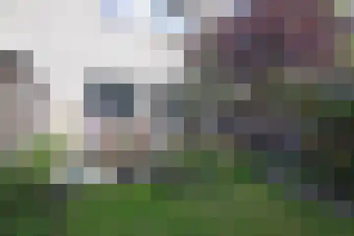 Van Lieflandlaan 85 Utrecht thumbnail 25