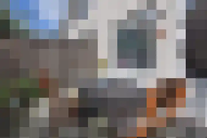 Van Lieflandlaan 85 Utrecht thumbnail 26