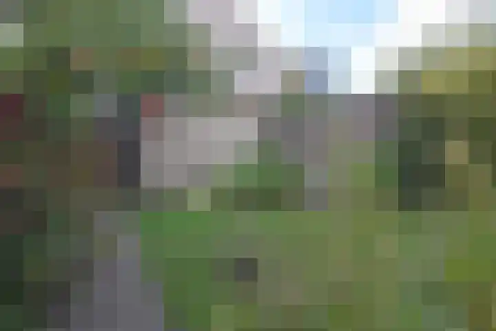 Van Lieflandlaan 85 Utrecht thumbnail 27