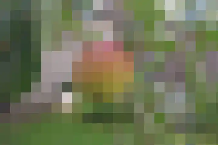 Van Lieflandlaan 85 Utrecht thumbnail 28
