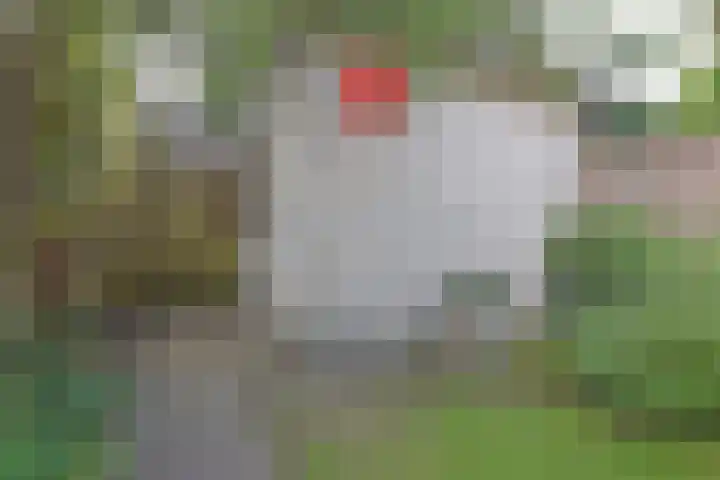 Van Lieflandlaan 85 Utrecht thumbnail 29
