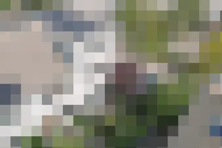 Van Lieflandlaan 85 Utrecht thumbnail 30