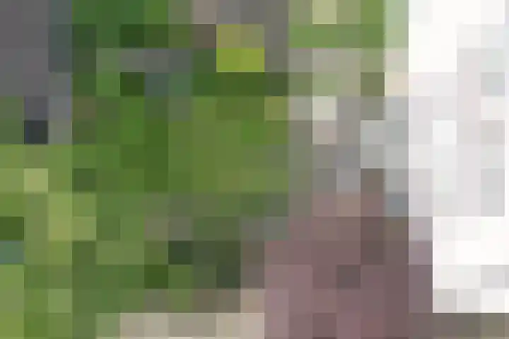 Van Lieflandlaan 85 Utrecht thumbnail 31