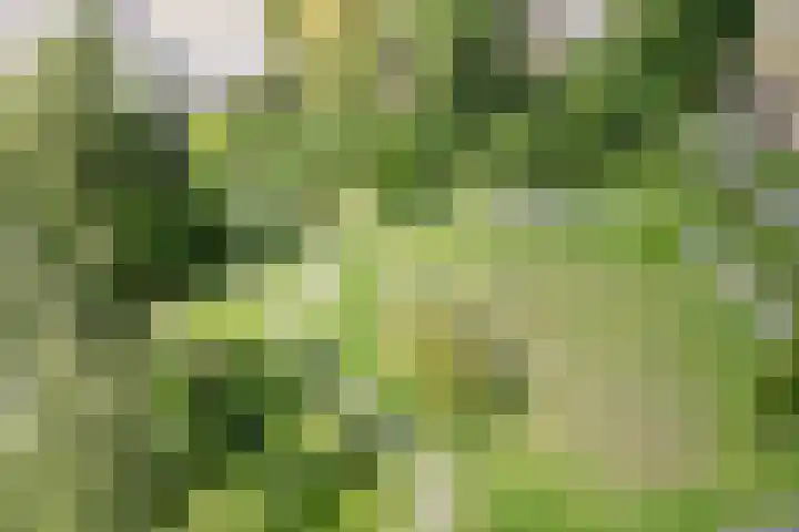 Van Lieflandlaan 85 Utrecht thumbnail 32