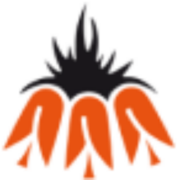 Logo van Van Lierop Adviesgroep