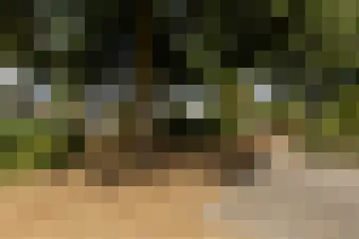 Van Lieshoutgaarde 16 Nuenen thumbnail 10