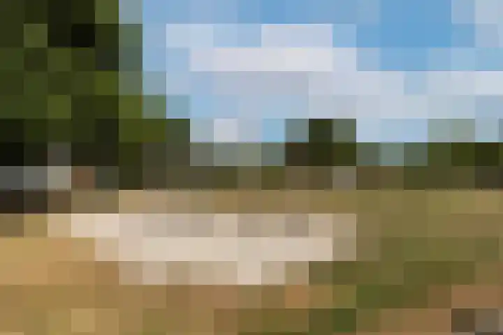 Van Lieshoutgaarde 16 Nuenen thumbnail 11