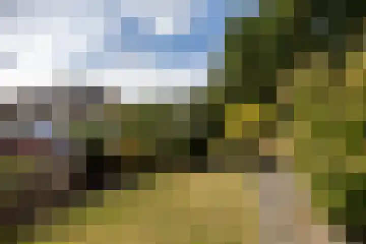 Van Lieshoutgaarde 16 Nuenen thumbnail 12