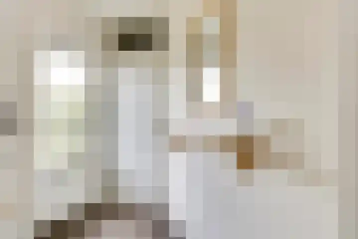 Van Lieshoutgaarde 16 Nuenen thumbnail 13