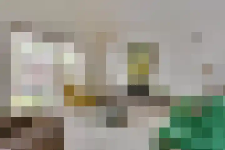 Van Lieshoutgaarde 16 Nuenen thumbnail 16