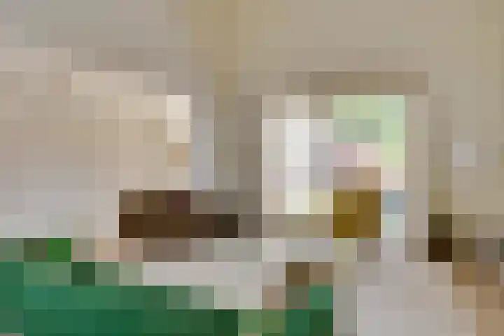 Van Lieshoutgaarde 16 Nuenen thumbnail 19
