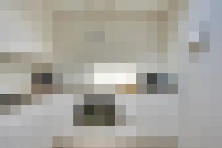 Van Lieshoutgaarde 16 Nuenen thumbnail 23