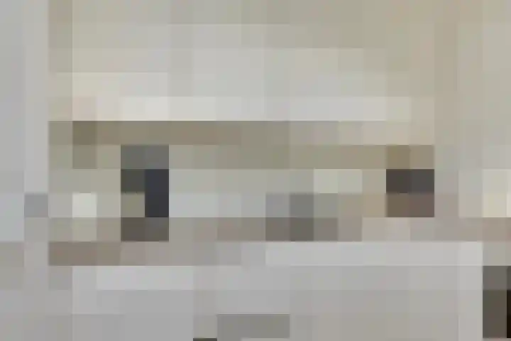 Van Lieshoutgaarde 16 Nuenen thumbnail 24
