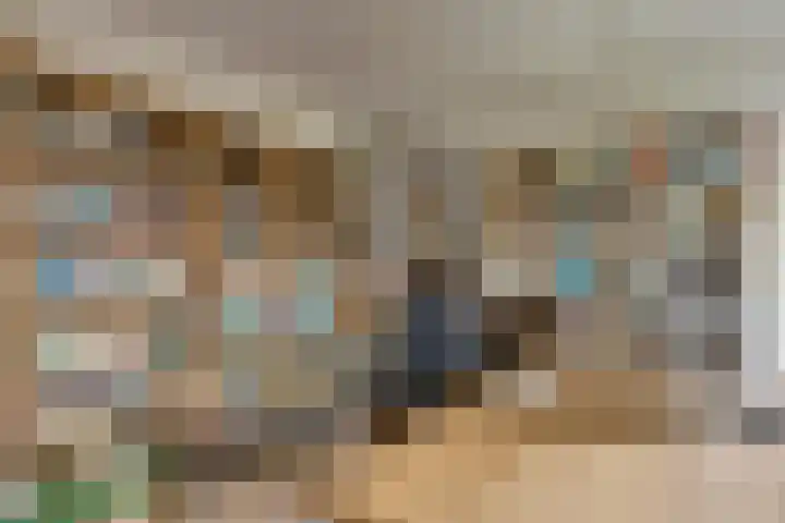 Van Lieshoutgaarde 16 Nuenen thumbnail 26