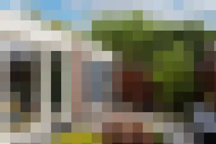 Van Lieshoutgaarde 16 Nuenen thumbnail 33
