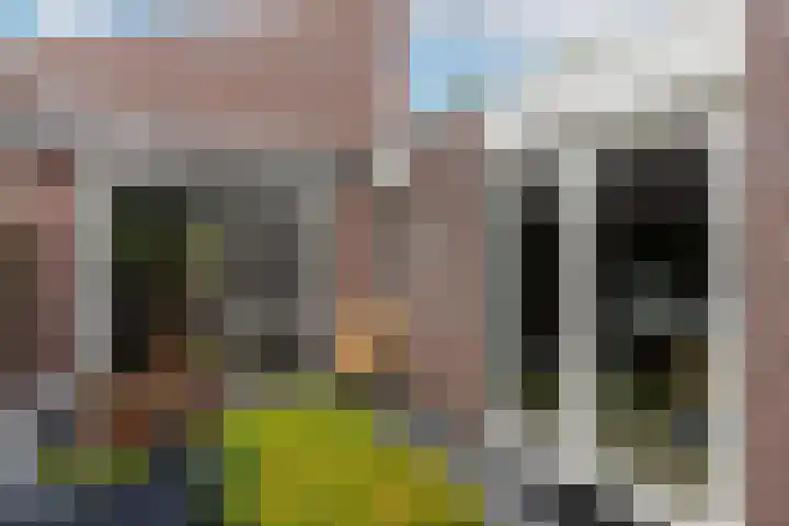 Van Lieshoutgaarde 16 Nuenen thumbnail 35