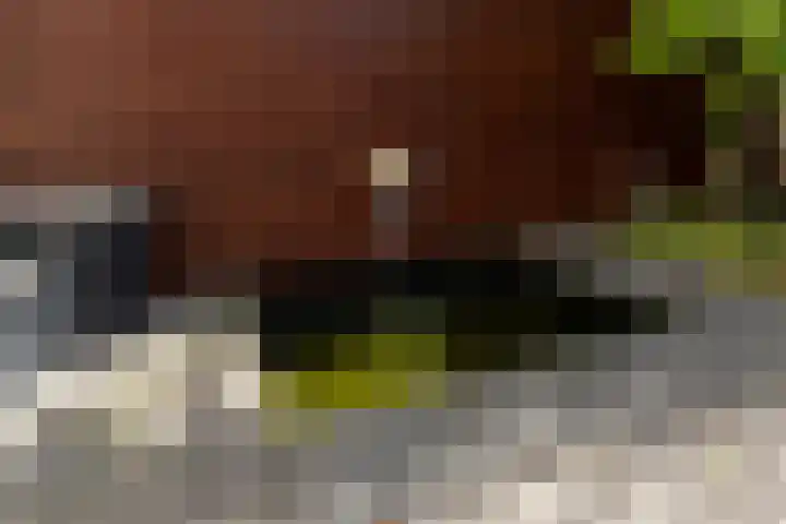 Van Lieshoutgaarde 16 Nuenen thumbnail 36