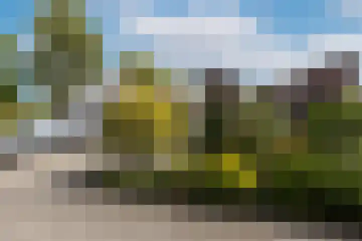 Van Lieshoutgaarde 16 Nuenen thumbnail 39