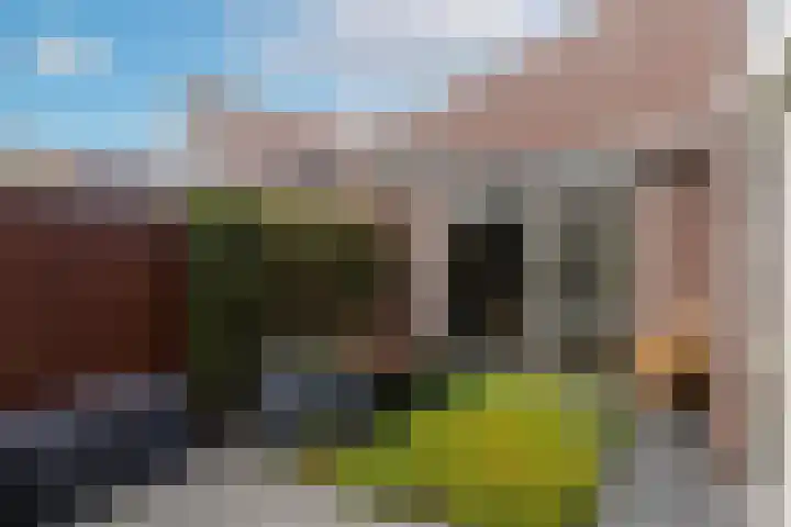 Van Lieshoutgaarde 16 Nuenen thumbnail 5