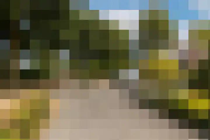 Van Lieshoutgaarde 16 Nuenen thumbnail 9