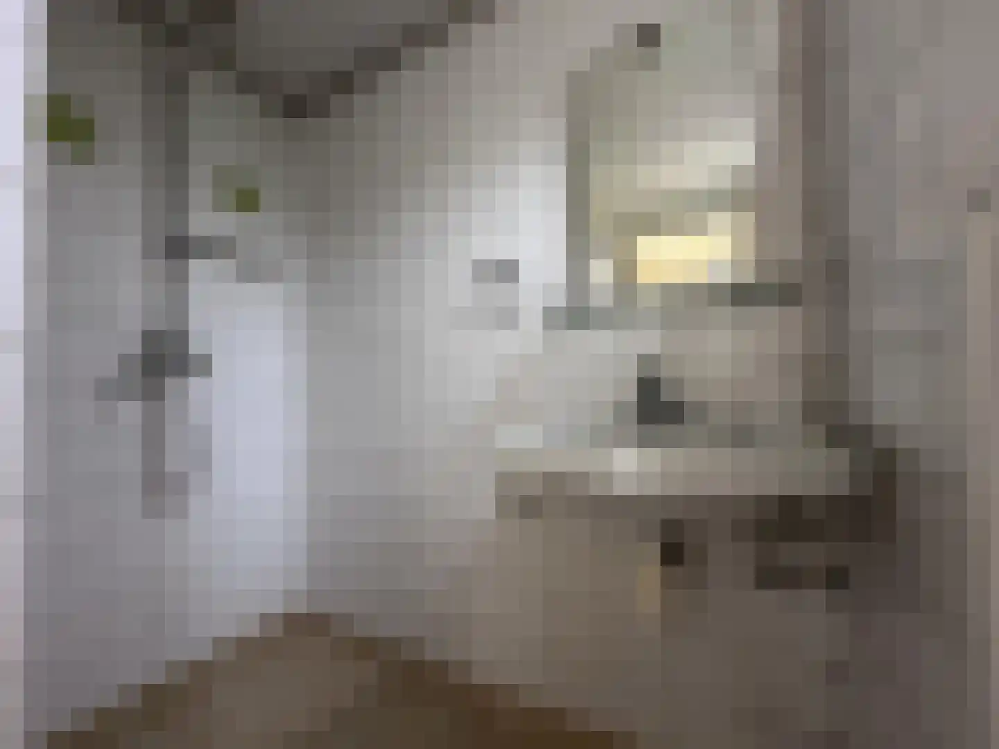 Van Lieshoutstraat 30 Rotterdam thumbnail 6