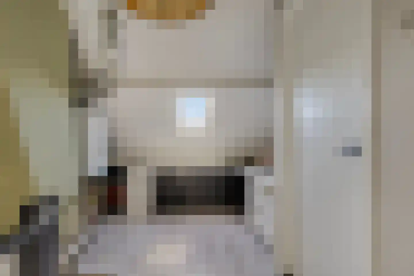 van Lieshoutstraat 34 Helmond thumbnail 30