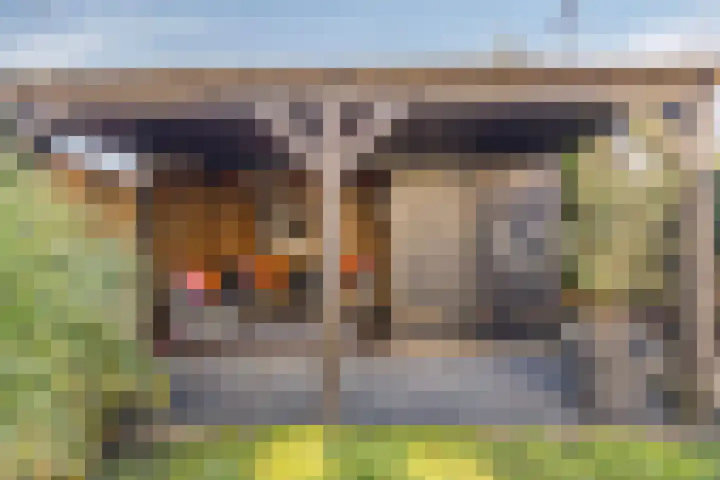 van Lieshoutstraat 34 Helmond thumbnail 36