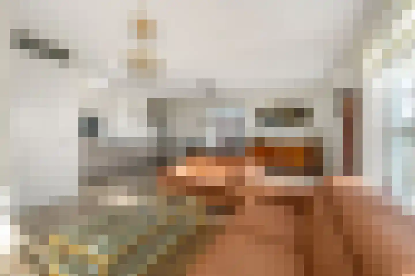 Van Lijnden van Hemmenstraat 157 Hoofddorp thumbnail 10