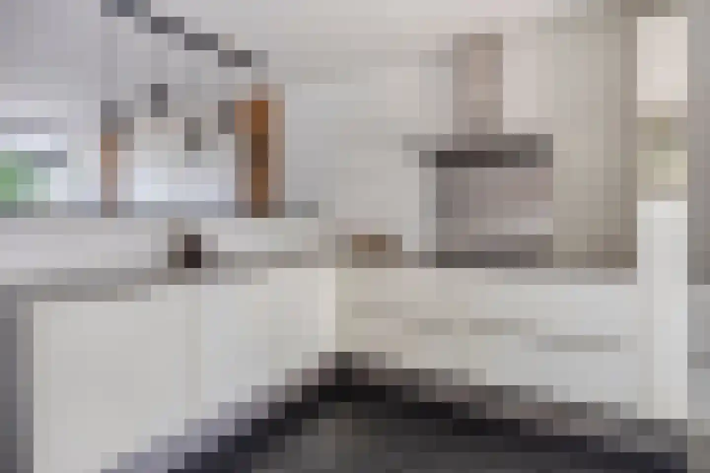 Van Limburg Stirumlaan 1 Vlijmen thumbnail 14