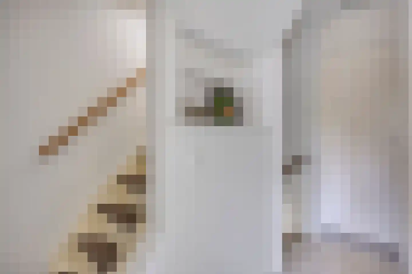 Van Limburg Stirumlaan 1 Vlijmen thumbnail 16