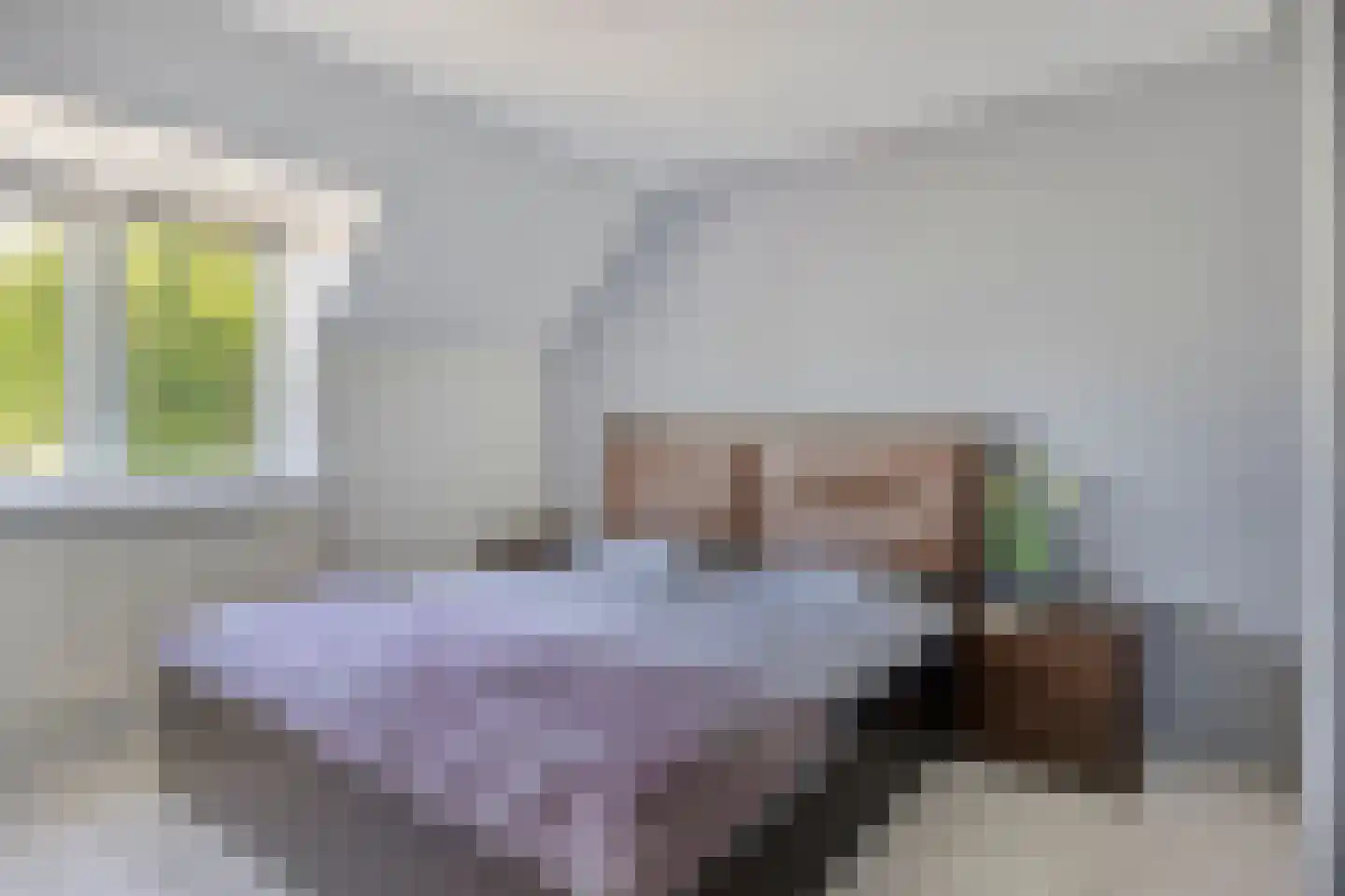 Van Limburg Stirumlaan 1 Vlijmen thumbnail 18