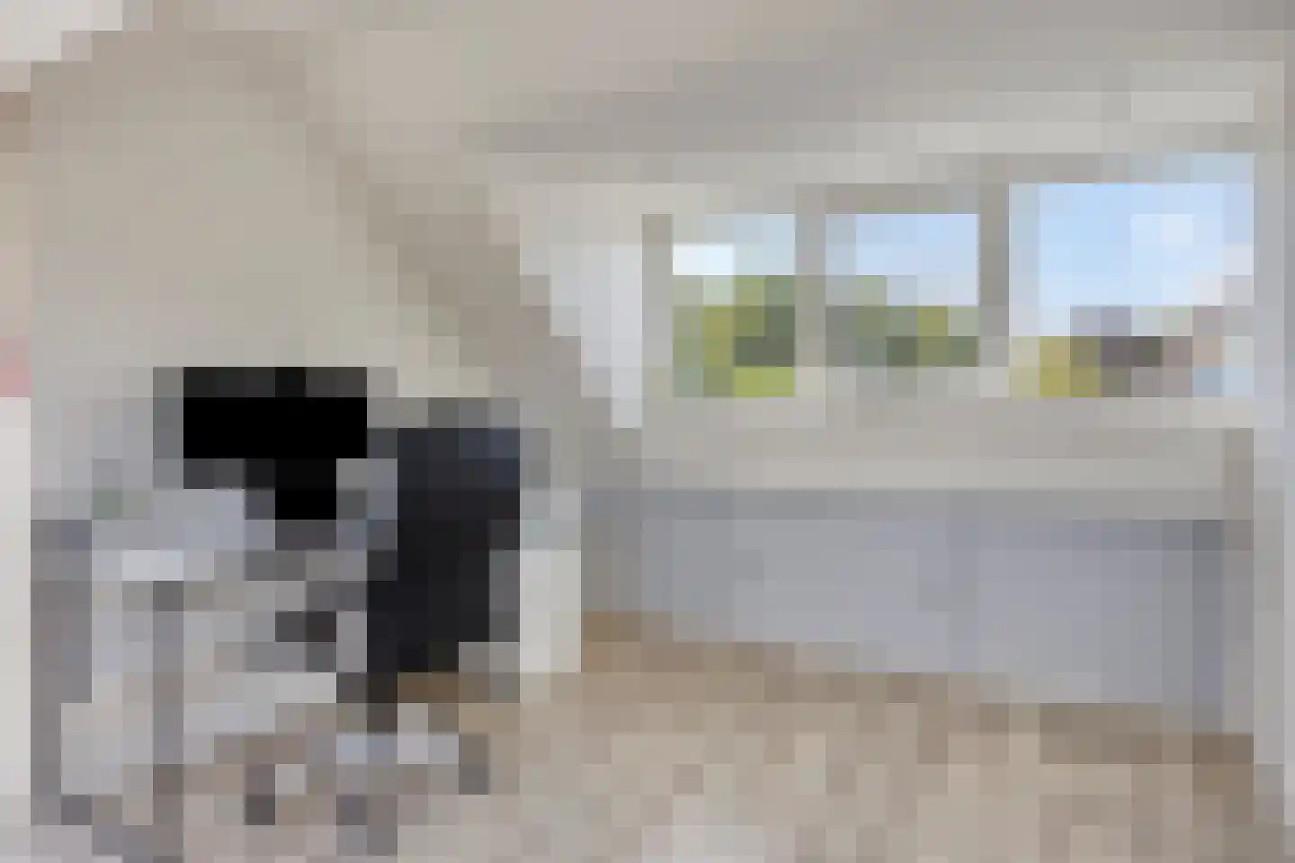 Van Limburg Stirumlaan 1 Vlijmen thumbnail 26
