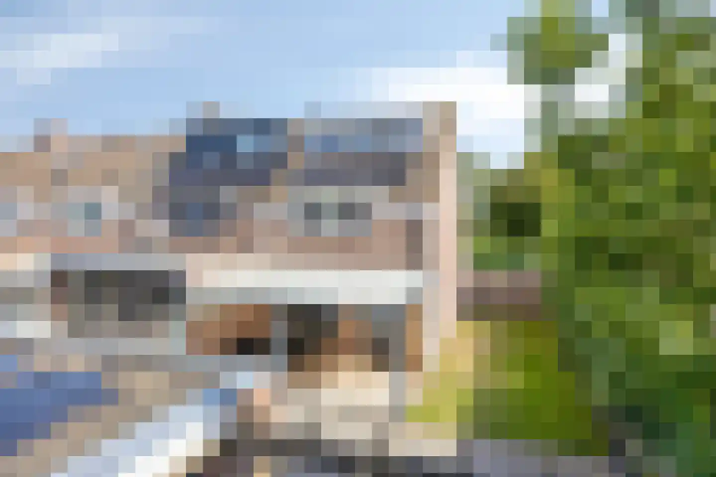 Van Limburg Stirumlaan 1 Vlijmen thumbnail 5