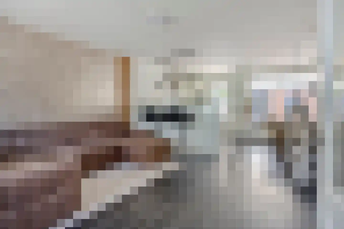 Van Limburg Stirumlaan 1 Vlijmen thumbnail 8